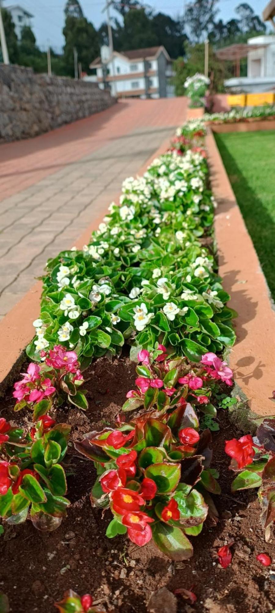 Yantra Resort By Spree Ooty Εξωτερικό φωτογραφία