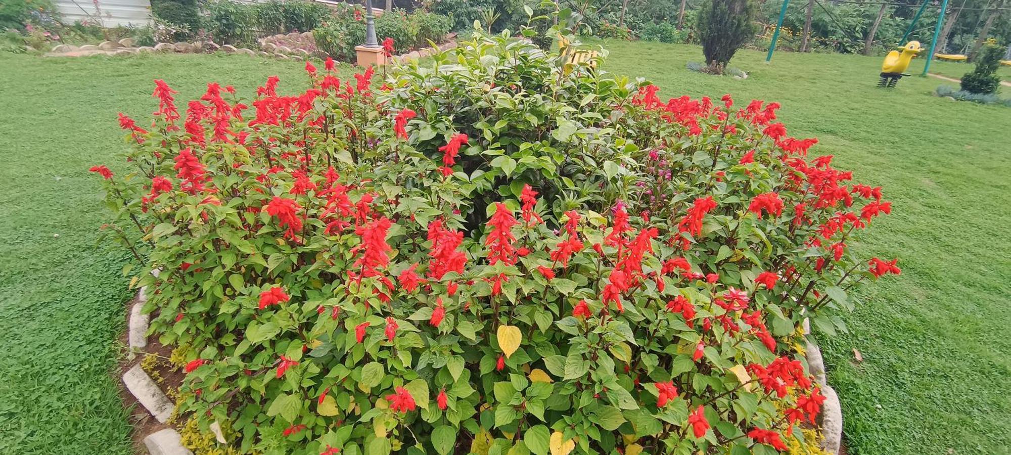 Yantra Resort By Spree Ooty Εξωτερικό φωτογραφία